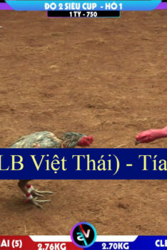 Tía CR7 - Ó Tên Lửa CLB Việt Thái