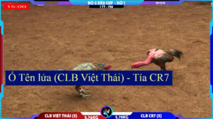 Tía CR7 - Ó Tên Lửa CLB Việt Thái