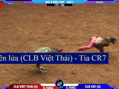 Tía CR7 - Ó Tên Lửa CLB Việt Thái