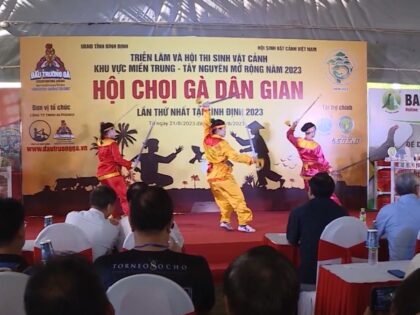 văn hóa gà nòi bình định