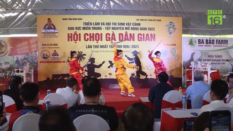 văn hóa gà nòi bình định