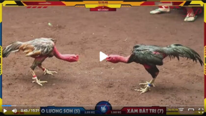 Video ô lương sơn và xám bất trị